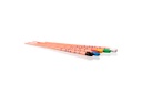 CONE GUTTA PERCHA DENTPLUS 30 